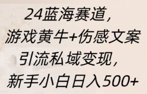 蓝海赛道，游戏黄牛+伤感文案引流私域变现，新手小白日入多张-网创资源