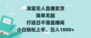 （13502期）淘宝无人直播卖货 简单无脑 打造日不落直播间 小白轻松上手，日入1000+-网创资源