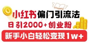 小红书偏门引流法，日引200+创业粉，新手小白轻松变现-网创资源