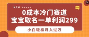 0成本冷门赛道，宝宝取名一单利润299，小白轻松月入过万-网创资源