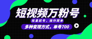 （13497期）短视频快速涨粉，批量起号，单号700，多种变现途径，可无限扩大来做。-网创资源