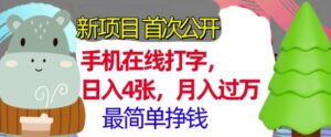 手机在线打字，小白轻松上手，月入过w，最简单的挣钱项目-网创资源