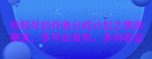详解视频号创作者分成项目之情感赛道，暴力起号，可同步多平台-网创资源