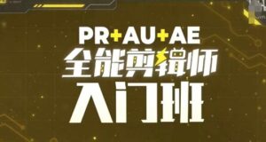 PR+AU+AE全能剪辑师入门班，剪辑入门必学课程-网创资源