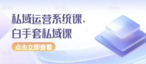 私域运营系统课，白手套私域课-网创资源