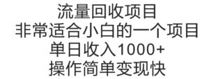 流量回收项目，非常适合小白的一个项目单日收入多张，操作简单变现快-网创资源