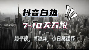 （13454期）抖音自热涨粉3天千粉，7天万粉，操作简单，轻松上手，可矩阵放大-网创资源