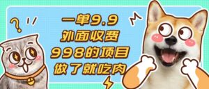 （13438期）一单9.9的项目，不挑人，小白当天上手，制作作品只需1分钟-网创资源