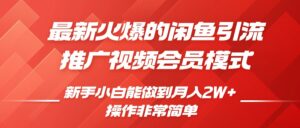 闲鱼引流推广影视会员，0成本就可以操作，新手小白月入过W+【揭秘】-网创资源