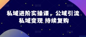 私域进阶实操课，公域引流 私域变现 持续复购-网创资源