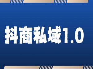 抖商服务私域1.0，抖音引流获客详细教学-网创资源