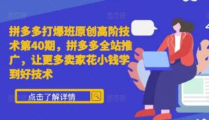 拼多多打爆班原创高阶技术第40期，拼多多全站推广，让更多卖家花小钱学到好技术-网创资源
