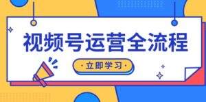 （13401期）视频号运营全流程：起号方法、直播流程、私域建设及自然流与付费流运营-网创资源