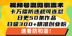 （13400期）视频号混剪引流技术，500万播放引流17000创业粉，操作简单当天学会-网创资源