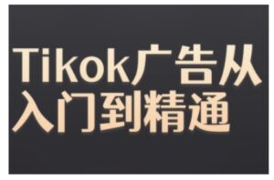 Tiktok Ads实操教程，Tiktok广告从入门到精通-网创资源