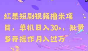 红果短剧撸米，无脑挂JI项目，单机日入30米，可批量复制操作-网创资源