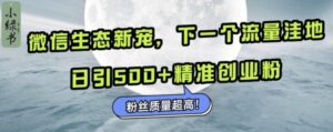 微信生态新宠小绿书：下一个流量洼地，日引500+精准创业粉，粉丝质量超高-网创资源