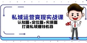 （13387期）私域运营变现实战课：认知篇+定位篇+实操篇，打造私域赚钱机器-网创资源