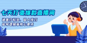 （13382期）七天打造爆款直播间：涵盖打标签、留人技巧、起号逻辑等核心要点-网创资源