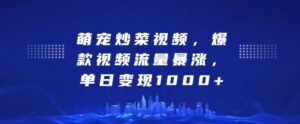 萌宠炒菜视频，爆款视频流量暴涨，单日变现1k-网创资源