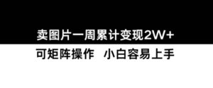 小红书【卖图片】一周累计变现2W+小白易上手-网创资源