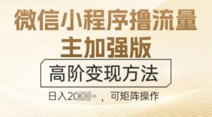 微信小程序撸流量主加强版，高阶变现方法，日收益多张-网创资源