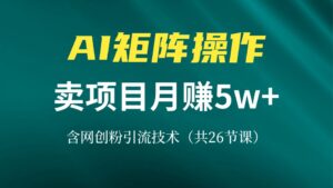 （13335期）网创IP打造课，借助AI卖项目月赚5万+，含引流技术（共26节课）-网创资源