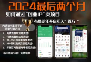 （13322期）2024最后两个月如何通过”创业IP“卖项目年入”百万“,创业IP+最强引流…-网创资源