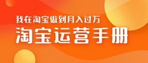 淘宝运营教学手册在淘宝卖这个品可以让你做到日入几张+新手小白轻松上手-网创资源