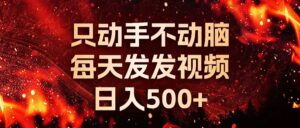 （13325期）种草平台发短视频，只动手不动脑，每天发发视频，日入500+-网创资源