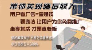 （13315期）带你实现睡后收入 裂变法让用户为你免费推广 不再为流量焦虑 小白轻松…-网创资源