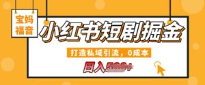 小红书短剧掘金，打造私域引流，0成本，宝妈福音日入几张-网创资源