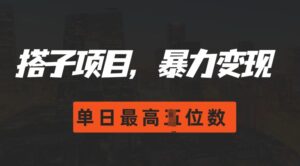 2024搭子玩法，0门槛，暴力变现，单日最高破四位数【揭秘】-网创资源