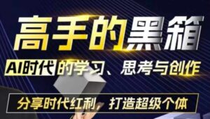 高手的黑箱：AI时代学习、思考与创作-分红时代红利，打造超级个体-网创资源