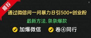 通过微信问一问暴力日引500+创业粉，最新方法，条条爆款，加爆微信，卷死同行-网创资源