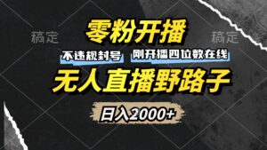 （13292期）零粉开播，无人直播野路子，日入2000+，不违规封号，躺赚收益！-网创资源