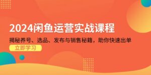 （13290期）2024闲鱼运营实战课程：揭秘养号、选品、发布与销售秘籍，助你快速出单-网创资源