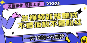（13283期）无脑操作，只要发视频就能赚钱？不看播放不看粉丝，小白轻松上手，一天…-网创资源