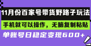 （13281期）百家号带货野路子玩法 手机就可以操作，无脑复制粘贴 单账号日稳定变现…-网创资源
