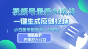 （13277期）视频号最新AI万法，一键生成原创视频，小白新号也能轻松日入100+-网创资源