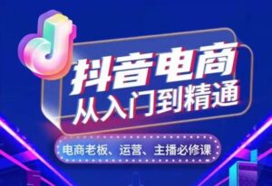 抖音电商从入门到精通，​从账号、流量、人货场、主播、店铺五个方面，全面解析抖音电商核心逻辑-网创资源