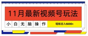 11月最新视频号玩法，完美解读轻松过原创，当天起号，小白轻松日入几张-网创资源