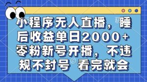 （13251期）小程序无人直播，睡后收益单日2000+ 零粉新号开播，不违规不封号 看完就会-网创资源