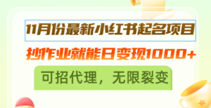 （13256期）11月份最新小红书起名项目，抄作业就能日变现1000+，可招代理，无限裂变-网创资源