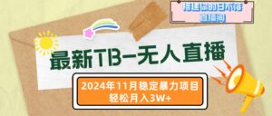 （13243期）最新TB-无人直播 11月最新，打造你的日不落直播间，轻松月入3W+-网创资源