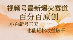 （13225期）视频号最新爆火赛道，中老年粉深信不疑，百分百原创，新号三天收益轻松…-网创资源