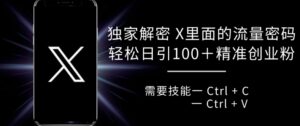 独家解密 X 里面的流量密码，复制粘贴轻松日引100+-网创资源