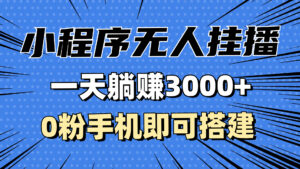 （13210期）抖音小程序无人直播，一天躺赚3000+，0粉手机可搭建，不违规不限流，小…-网创资源