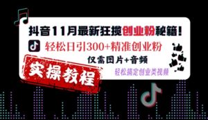 抖音11月最新狂揽创业粉秘籍，轻松日引300+精准创业粉，仅需图片+音频，轻松搞定创业类视频-网创资源
