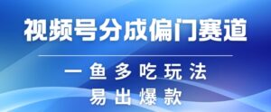 视频号创作者分成计划偏门类目，容易爆流，实拍内容简单易做【揭秘】-网创资源
